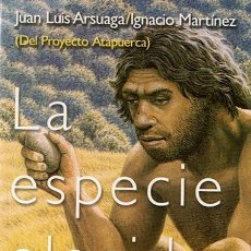 Libros de segunda mano: LA ESPECIE ELEGIDA JUAN LUIS ARSUAGA / IGNACIO MARTINEZ. Lote 44519188
