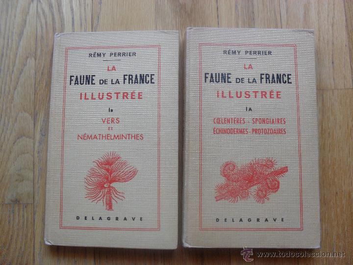 Libros de segunda mano: FAUNE DE LA FRANCE, 2 Tomos, Leer - Foto 1