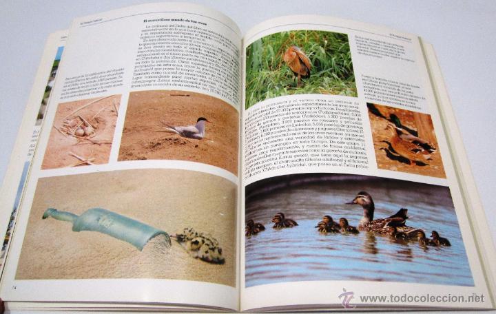 Libros de segunda mano: VARIOS AUTORES: EL DELTA DEL EBRO Y SU PARQUE NATURAL. - Foto 2