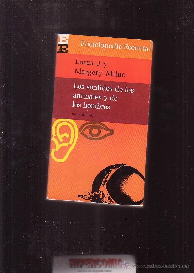 Libri di seconda mano: LOS SENTIDOS DE LOS ANIMALES Y DE LOS HOMBRES / LORUS J.