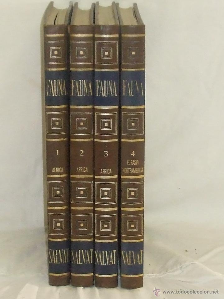 Libros de segunda mano: Fauna. Felix Rodriguez de la Fuente. - Foto 1