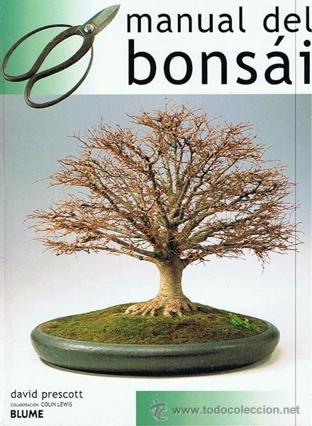 Libros de segunda mano: MANUAL DEL BONS&Aacute;I DAVID PRESCOTT - Foto 1