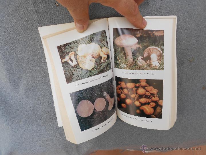 Libros de segunda mano: EL LIBRO DE LAS SETAS - Foto 2