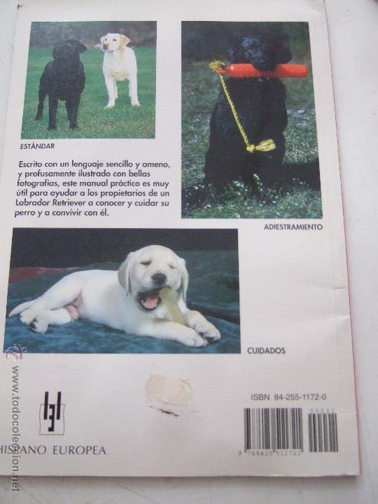 Libros de segunda mano: MANUAL PRACTICO DEL LABRADOR RETRIEVER. - Foto 2