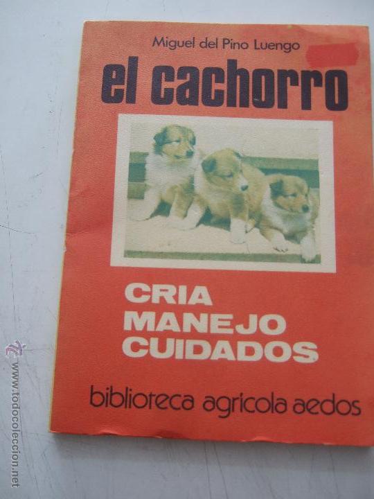 Libros de segunda mano: CR&Iacute;E Y CONOZCA A SU GATO PERSA. - Foto 2