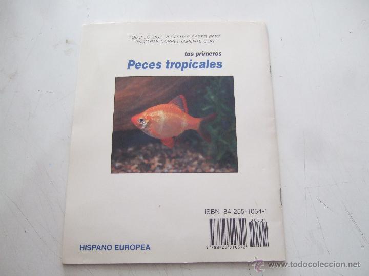 Libros de segunda mano: TUS PRIMEROS PECES TROPICALES. - Foto 2