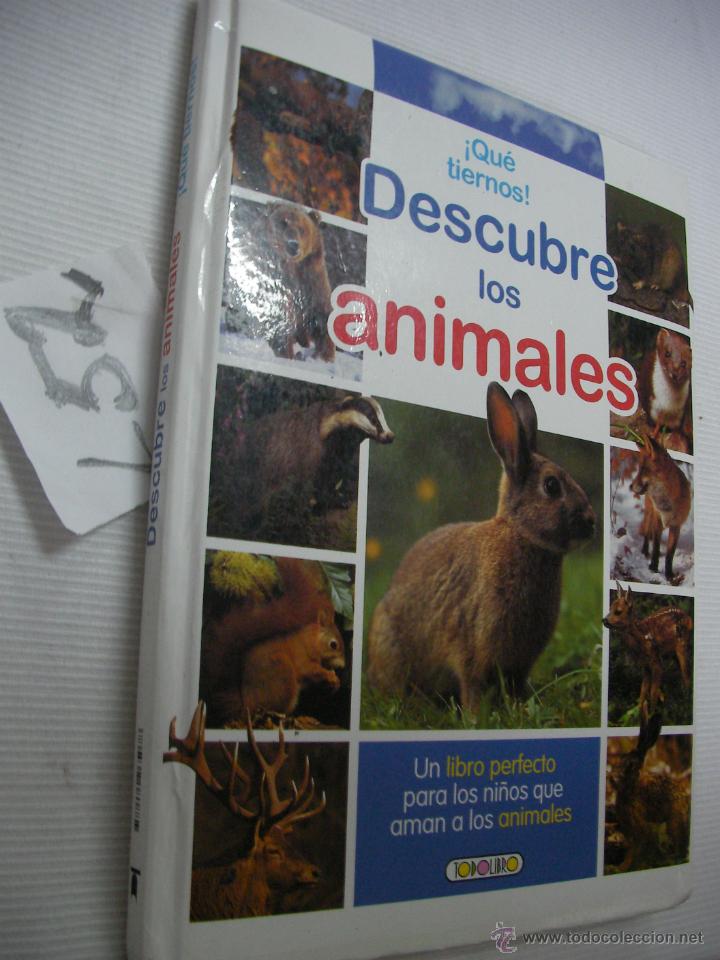 Libros de segunda mano: DESCUBRE LOS ANIMALES - ENVIO GRATIS A ESPA&Ntilde;A - Foto 1