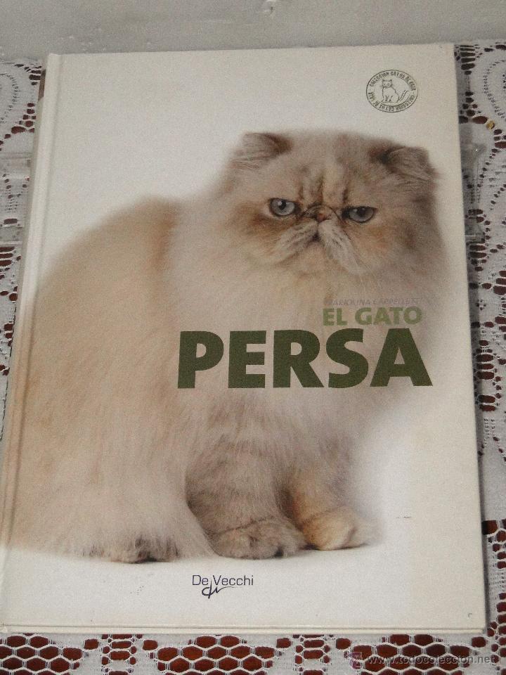 Libros de segunda mano: EL GATO PERSA .---CAPPELLETTI, MARIOLINA - Foto 1