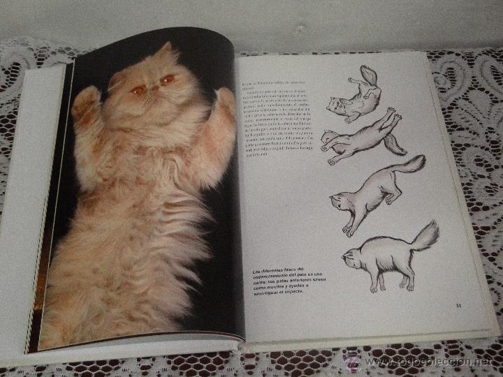 Libros de segunda mano: EL GATO PERSA .---CAPPELLETTI, MARIOLINA - Foto 3