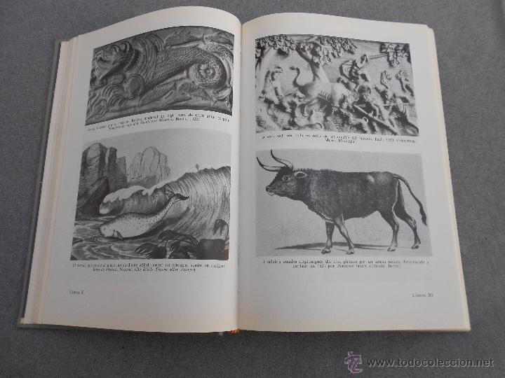 Libros de segunda mano: EL LEGADO DE NOE - Foto 3