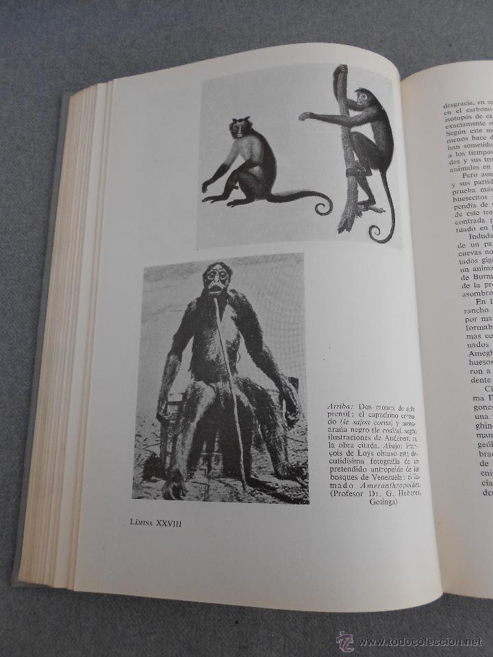 Libros de segunda mano: EL LEGADO DE NOE - Foto 4