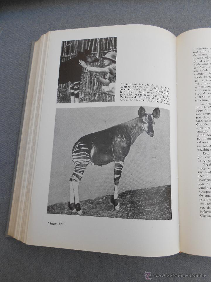 Libros de segunda mano: EL LEGADO DE NOE - Foto 6