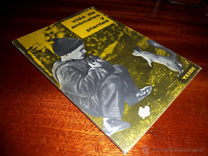 Libros de segunda mano: VIDA DE ANIMALES Y PLANTAS. EXPERIENCIAS. PARANINFO (1963) - Foto 1