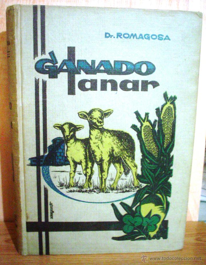 Libros de segunda mano: GANADO LANAR. Tema Veterinaria, ganader&iacute;a. - Foto 1
