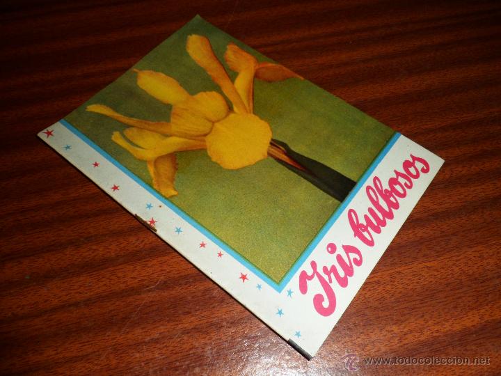 Libros de segunda mano: IRIS BULBOSOS. KANDA LA FLOR DE LAS FLORES. FOLLETO N&ordm; 36. 2&ordf;ED - Foto 1