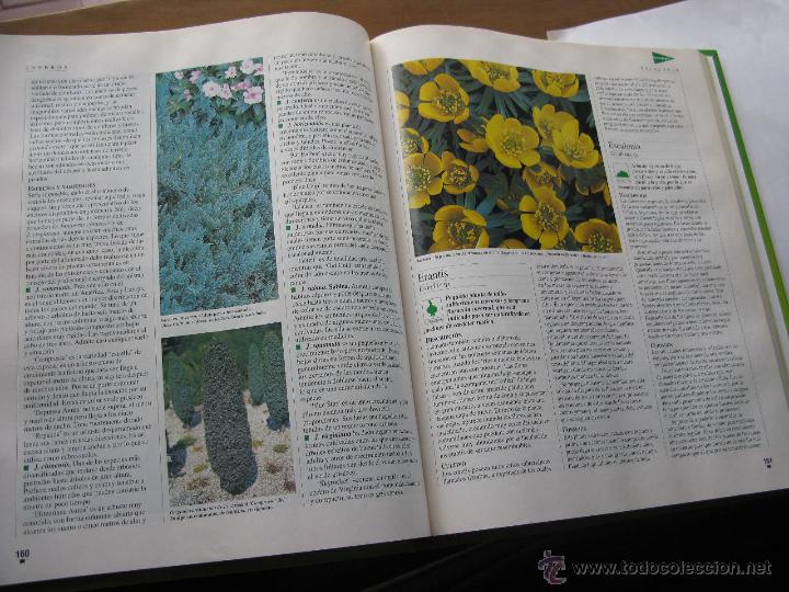 Libros de segunda mano: el libro de oro de las plantas y los jardines. ABC. (perfecto) - Foto 2
