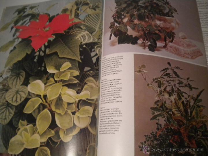 Libros de segunda mano: Plantas y Flores - Foto 3