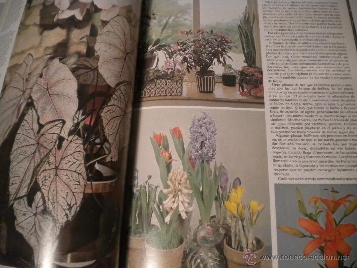 Libros de segunda mano: Plantas y Flores - Foto 4