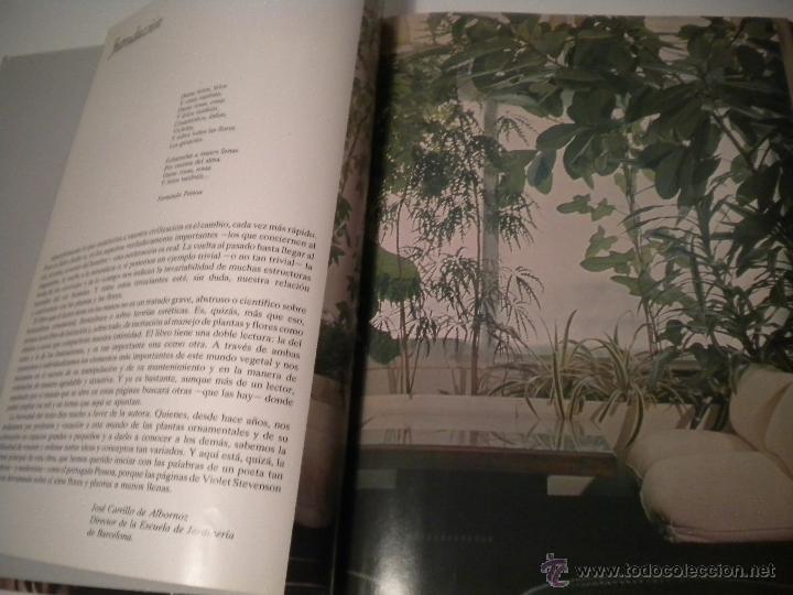 Libros de segunda mano: Plantas y Flores - Foto 5