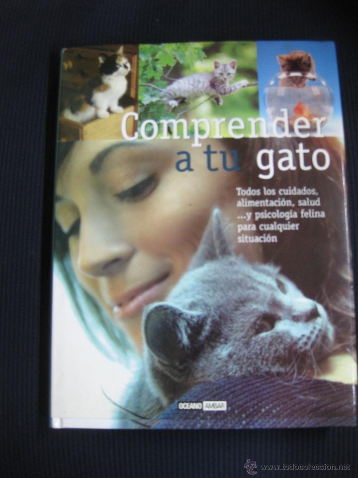 Libros de segunda mano: COMPRENDER A TU GATO. BARBARA BRAUS. OCEANO AMBAR 2004. - Foto 1