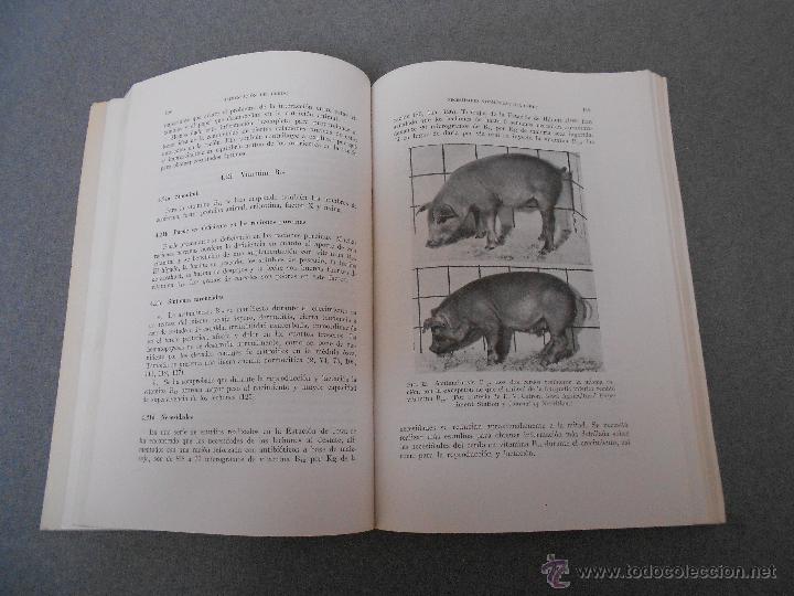 Libros de segunda mano: ALIMENTACION DEL CERDO. - Foto 2