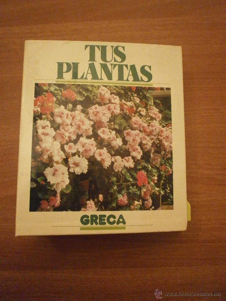 Libros de segunda mano: FICHAS  SUELTAS   DE TUS PLANTAS - GRECA - Foto 1