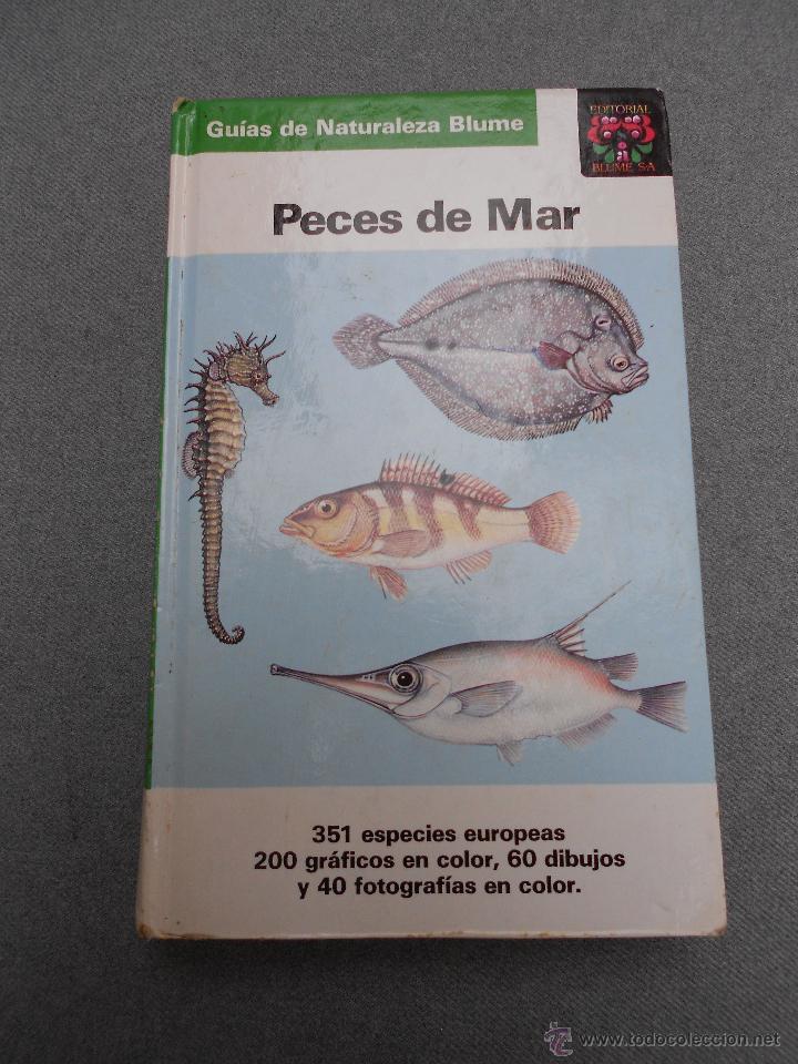 Libros de segunda mano: GUIA DE LA NATURALEZA BLUME. PECES DE MAR - Foto 1