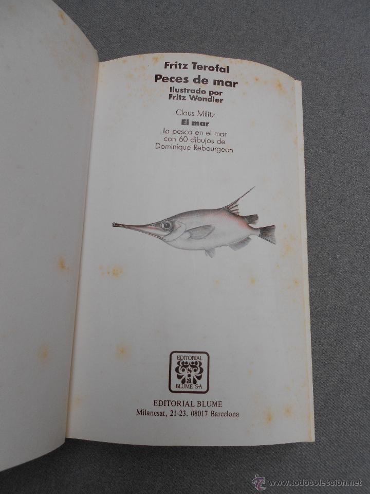 Libros de segunda mano: GUIA DE LA NATURALEZA BLUME. PECES DE MAR - Foto 2