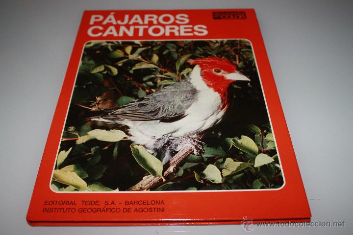 Libros de segunda mano: P&aacute;jaros Cantores - Documental en Color - Editorial Teide - A&ntilde;o 1972 - Foto 1