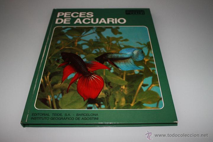 Libros de segunda mano: Peces de Acuario - Documental en Color - A&ntilde;o 1973 - Teide - Foto 1