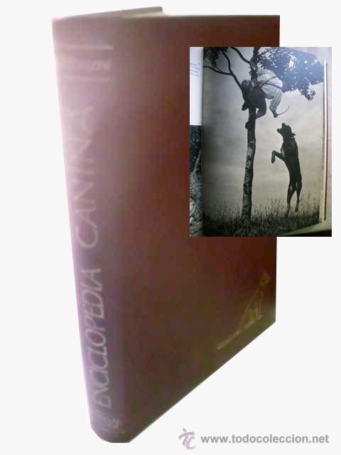 Libros de segunda mano: ENCICLOPEDIA CANINA. 1973 - Foto 1