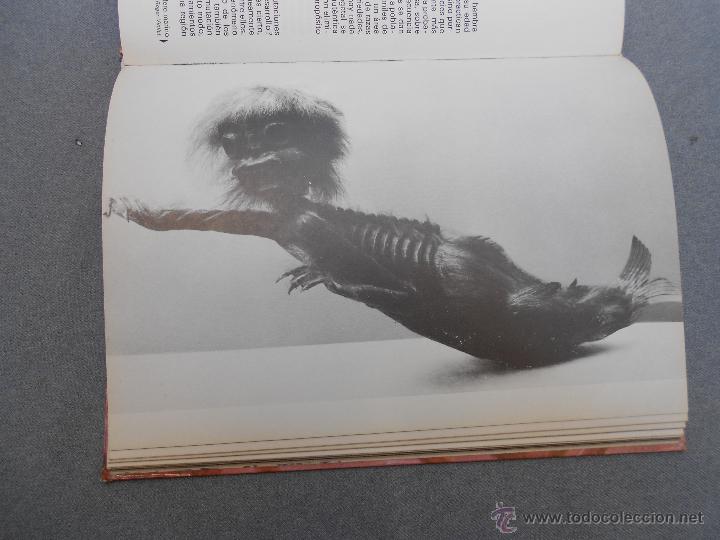 Libros de segunda mano: LOS GRANDES ENIGMAS DE LOS ORIGENES DE LA VIDA - Foto 2