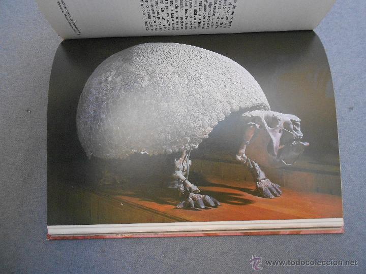 Libros de segunda mano: LOS GRANDES ENIGMAS DE LOS ORIGENES DE LA VIDA - Foto 3