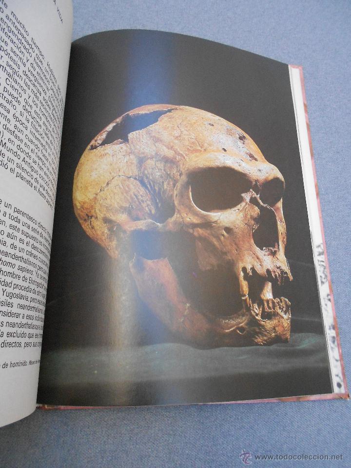 Libros de segunda mano: LOS GRANDES ENIGMAS DE LOS ORIGENES DE LA VIDA - Foto 5