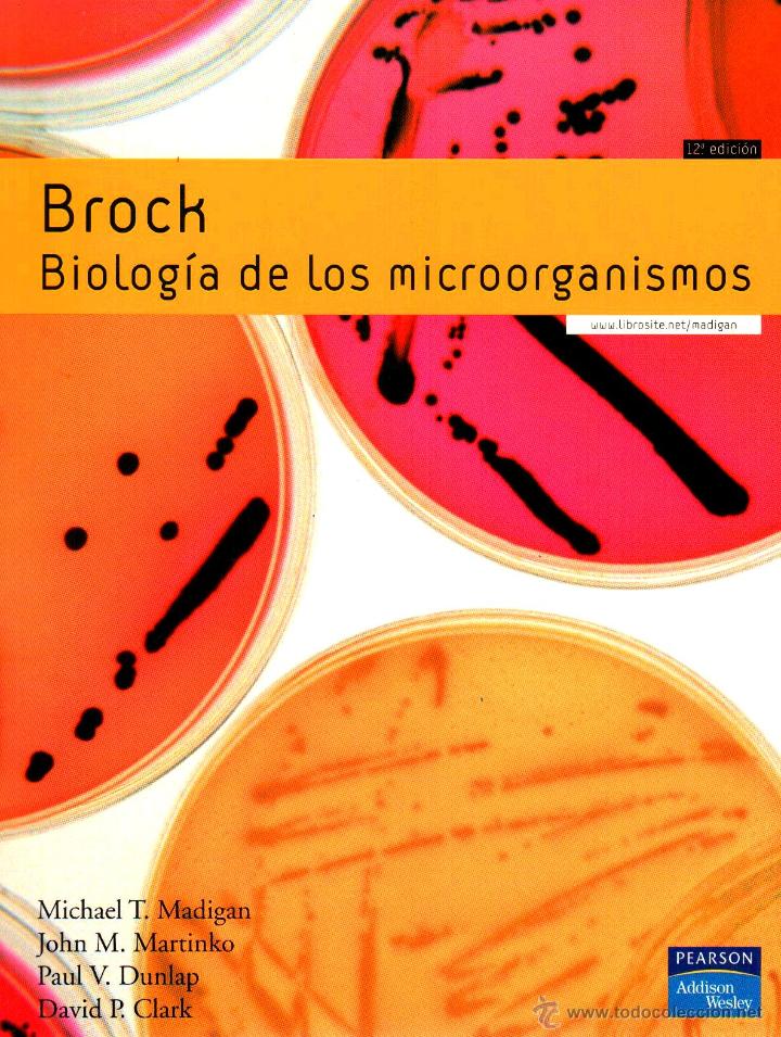 Resultado de imagen para biologia de microorganismos brock