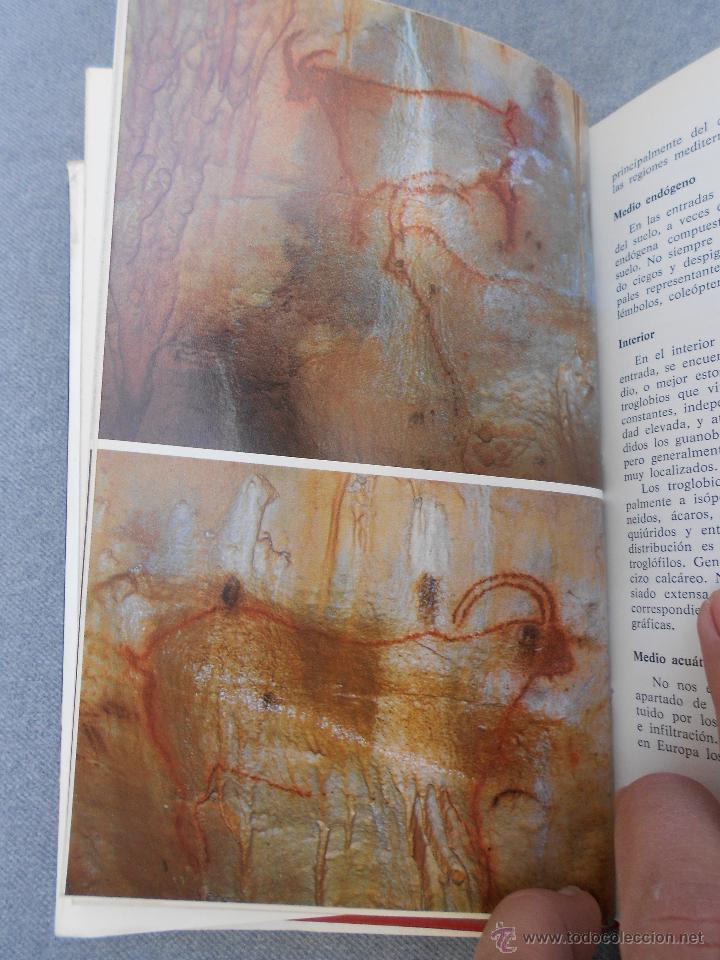 Libros de segunda mano: GUIA DE LAS GRUTAS DE EUROPA - Foto 2