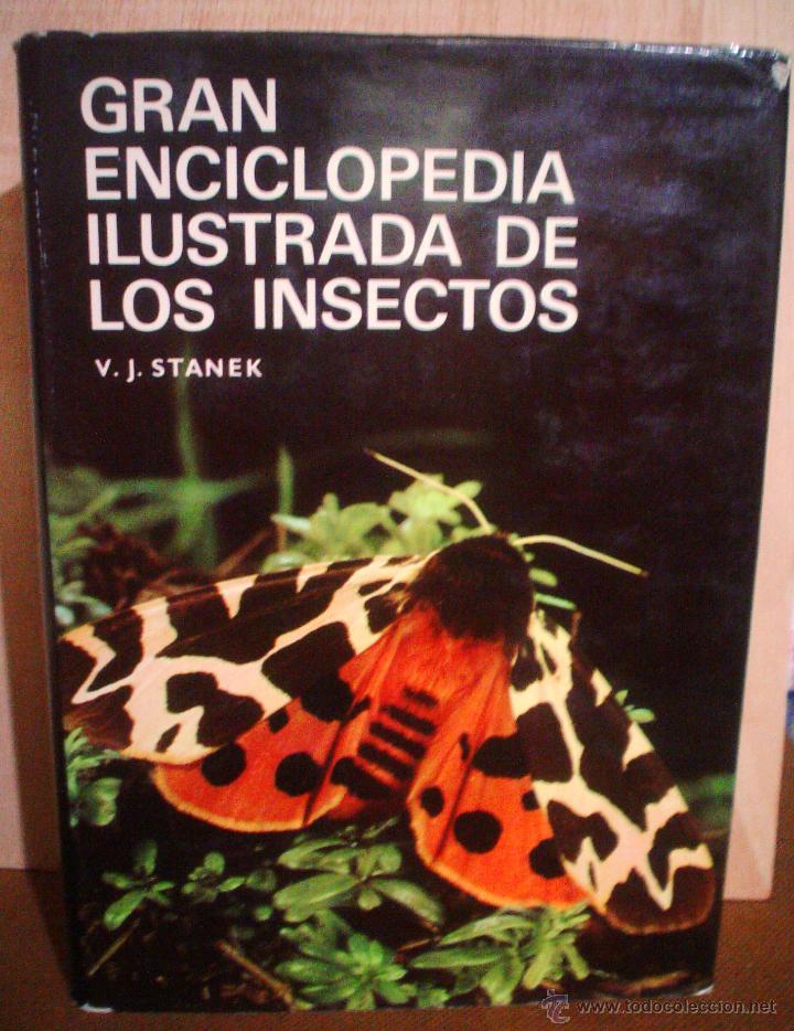 Libros de segunda mano: GRAN ENCICLOPEDIA ILUSTRADA DE LOS INSECTOS - Foto 1