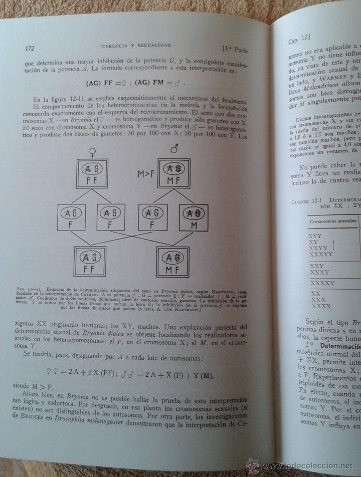 Libros de segunda mano: BIOLOGIA GENERAL II ALVARADO - Foto 3