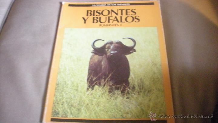 Libros de segunda mano: BISONTES Y BUFALOS . RUMIANTES II . NOGUER 1985 - Foto 1