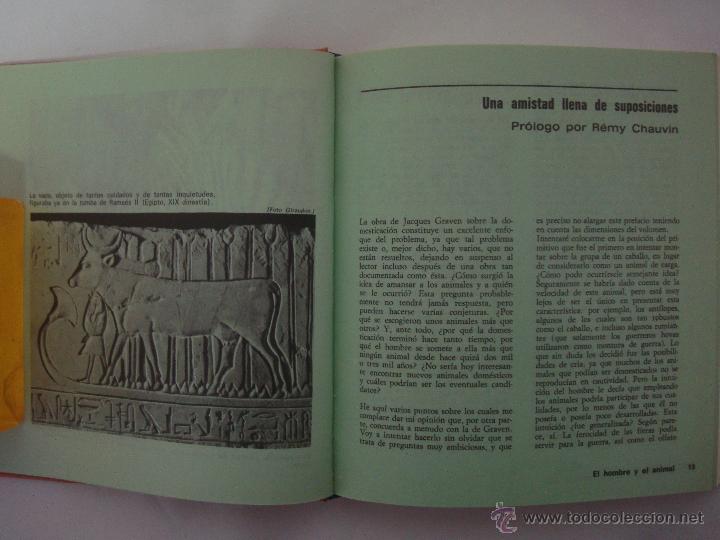 Libros de segunda mano: JACQUES GRAVEN. EL HOMBRE Y EL ANIMAL. 1970.ILUSTRADO. HORIZONTES - Foto 3