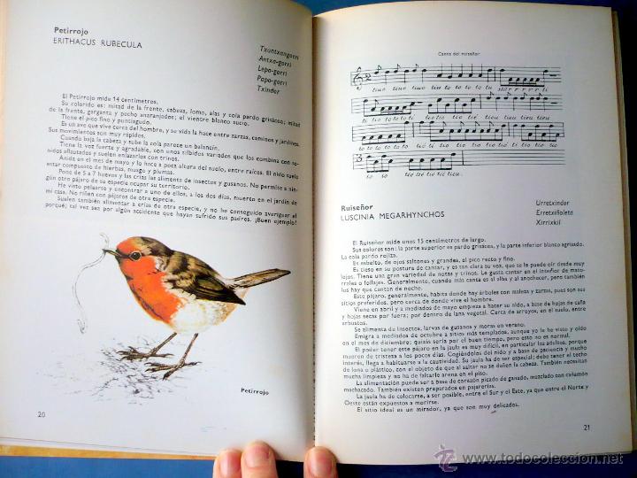 Libros de segunda mano: P&Aacute;JAROS CANTORES J. MILL&Aacute;N 1979 - Foto 2