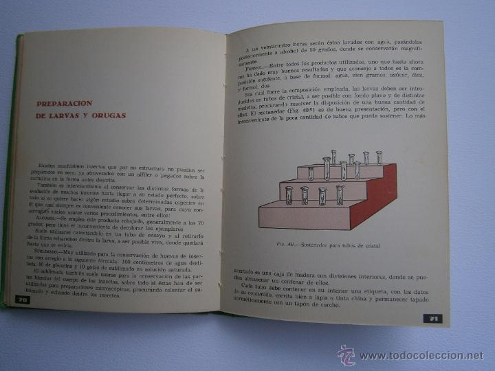 Libros de segunda mano: C&oacute;mo coleccionar insectos! - Interesante libro did&aacute;ctico - Foto 5