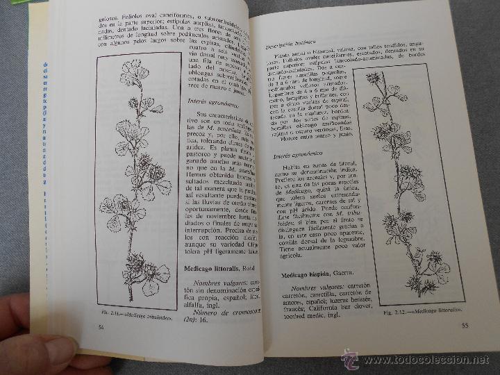 Libros de segunda mano: LA ALFALFA - Foto 2