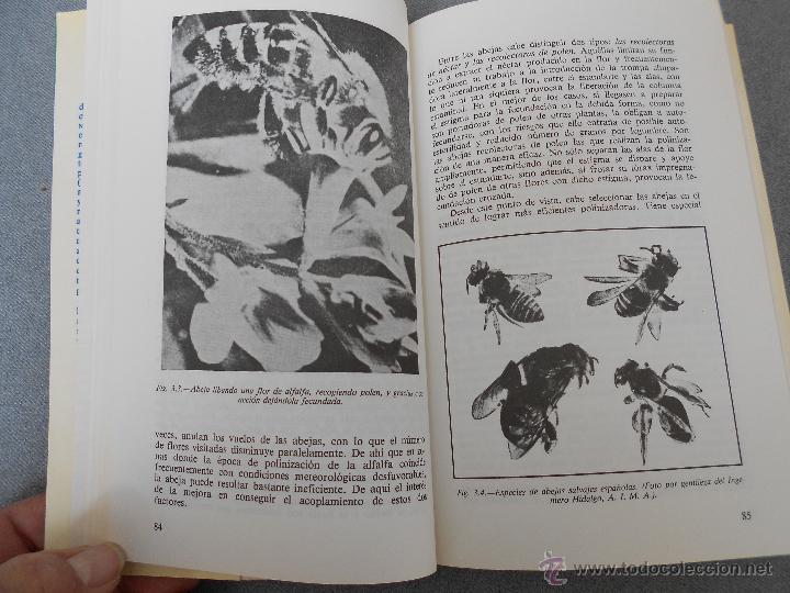 Libros de segunda mano: LA ALFALFA - Foto 5