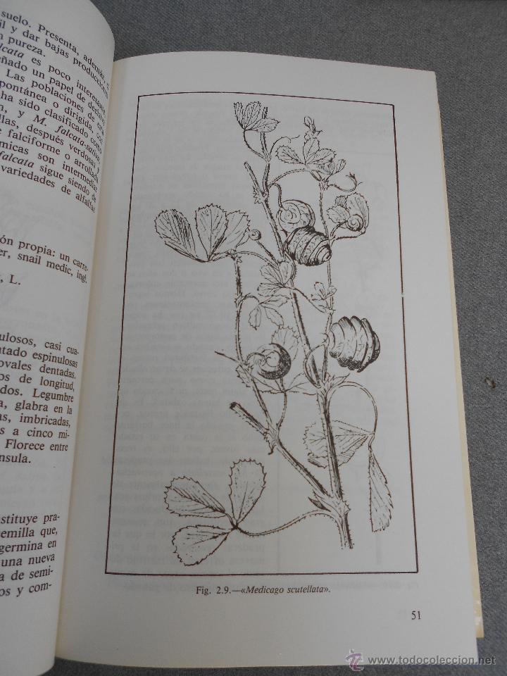 Libros de segunda mano: LA ALFALFA - Foto 6