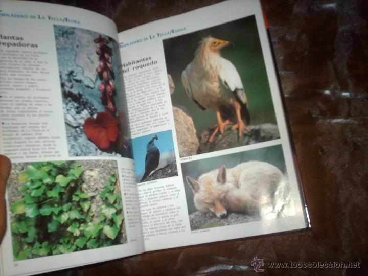 Libros de segunda mano: Gu&iacute;a de la Naturaleza de Castilla y Le&oacute;n-1994 - Foto 2