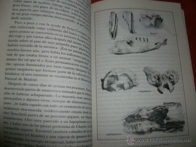 Libros de segunda mano: LAS MUSAS DE DARWIN - JOS&Eacute; SARUKH&Aacute;N - Foto 2