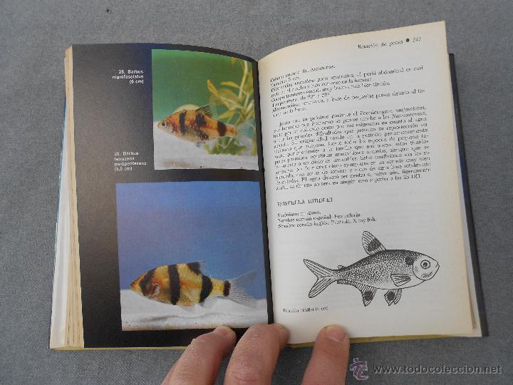 Libros de segunda mano: EL ACUARIO - Foto 5