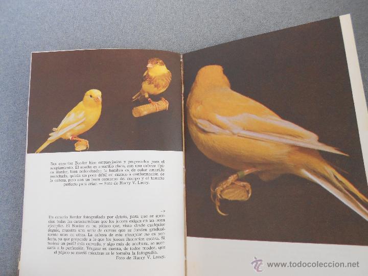 Libros de segunda mano: LOS CANARIOS. COMO SELECCIONARLOS Y CUIDARLOS - Foto 4