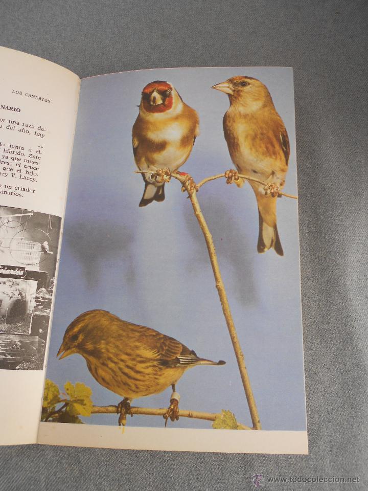 Libros de segunda mano: LOS CANARIOS. COMO SELECCIONARLOS Y CUIDARLOS - Foto 7